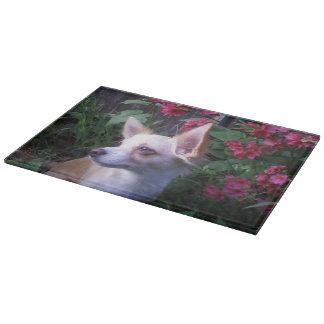Photo Glass Cutting/Charcuterie Board