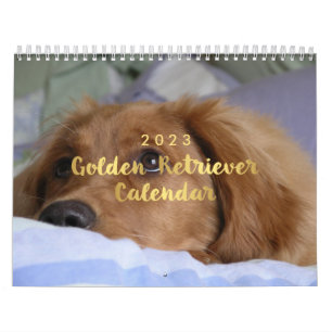 Photo Golden Retriever Calendar 2023