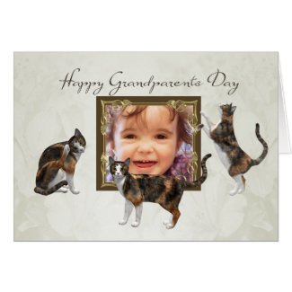 Photo Grandparents Day card with playful cats