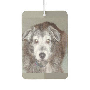 Photo Heart Shape Personalize Air Freshener