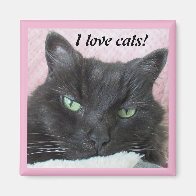 Photo I Love Cats Magnet (Front)