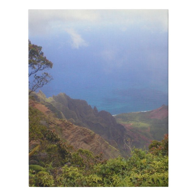 Photo I took while in Hawaii Faux Canvas Print (Front)