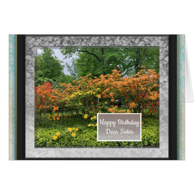 Photo Images for Sister Birthday Card (Front Horizontal)