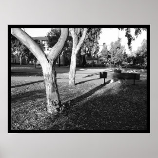 photo IV portfolio #5 Poster