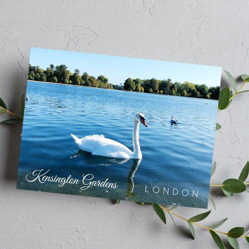 Photo Kensignton Gardens The royal Park LONDON UK Postcard