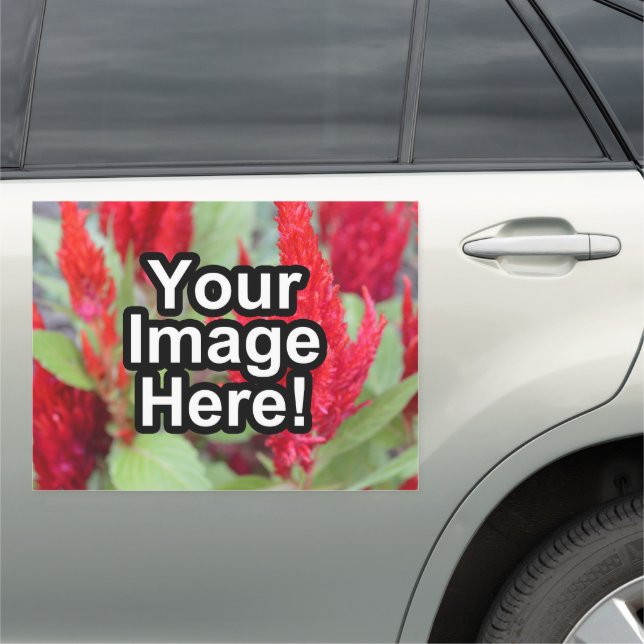 Photo Logo Large Magnetic Vehicle Sign Truck (In Situ)