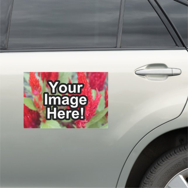 Photo Logo Magnetic Vehicle Door Sign Truck or (In Situ)