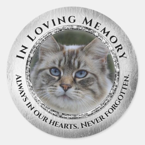 Photo Loving Memory Cat  Pet Sticker