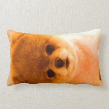 Photo Lumbar Pillow Gift by HappyThoughtsShop at Zazzle
