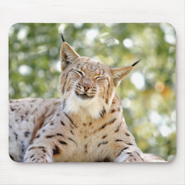 photo lynx cat animals.  mouse pad (Front)