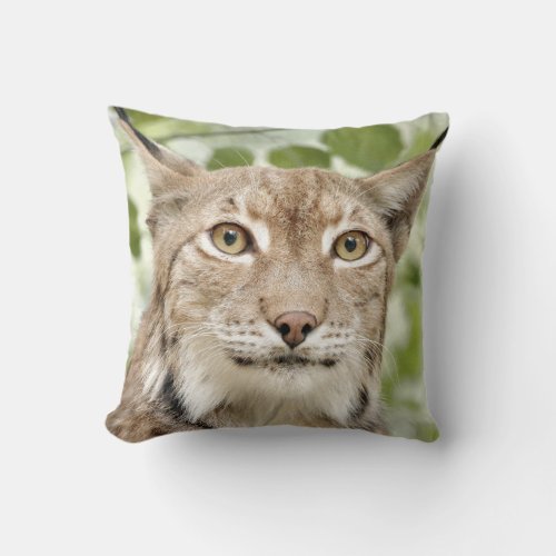Photo lynx  cat  animals  throw pillow