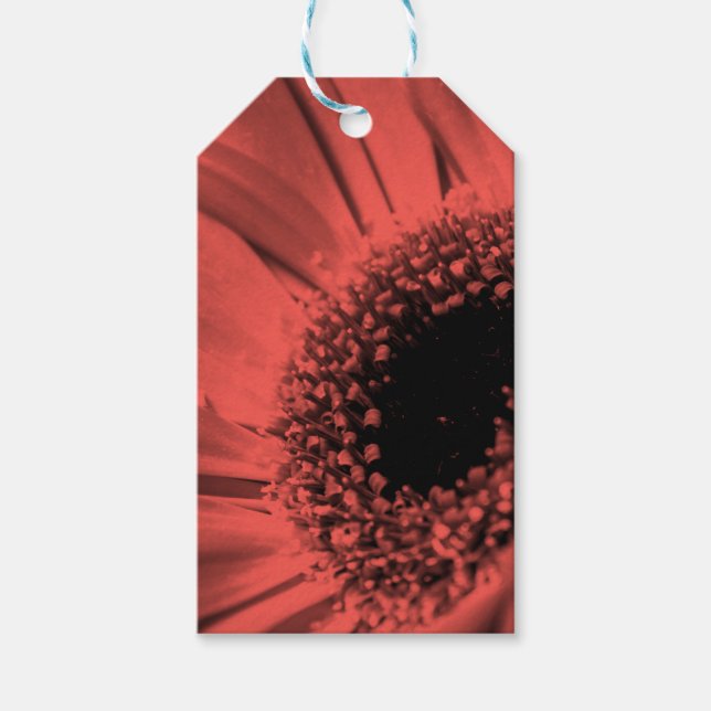 Photo, macro gift tags (Front)