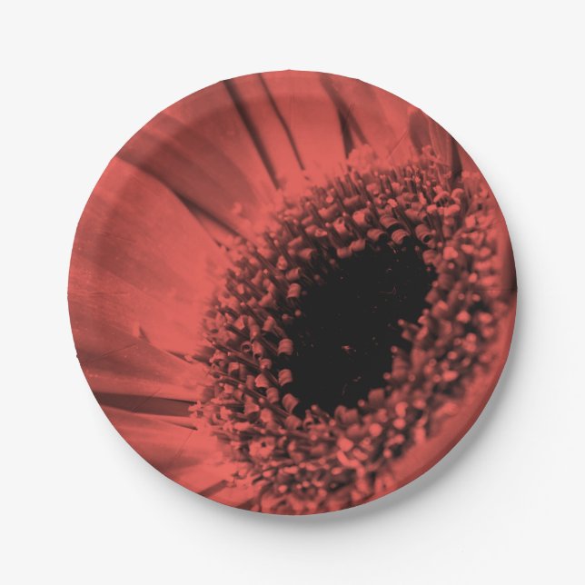 Photo, macro paper plates (Front)