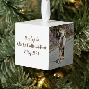 Photo Memories Cube Ornament