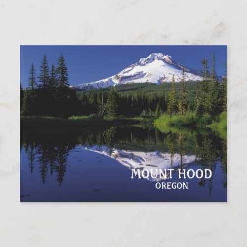 Photo Mount Hood Volcano Oregon Postcard