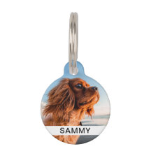 Photo & Name Pet ID Tag White