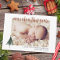 Photo New Baby Christmas Birth Announcement