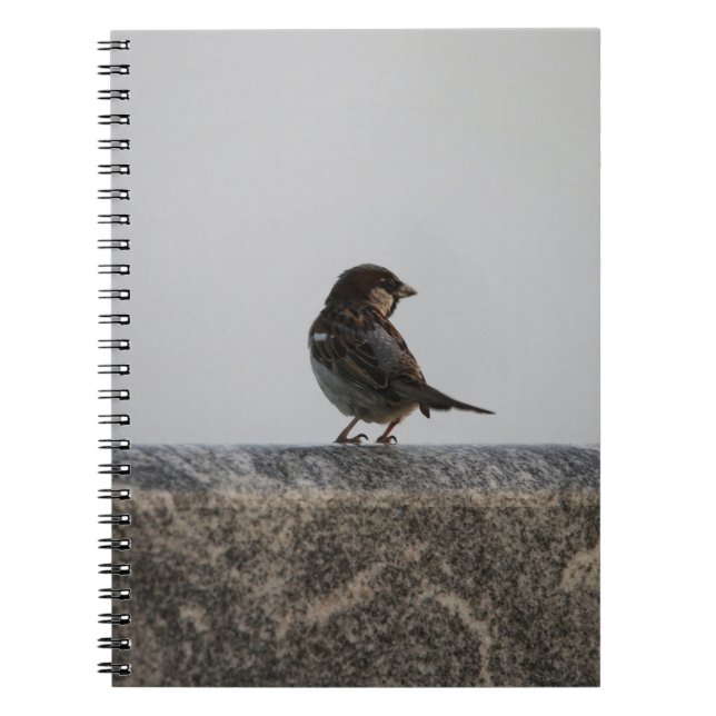 Photo Notebook (80 Pages B&W) (Front)