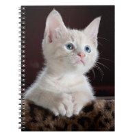 Photo Notebook (80 Pages B&W)