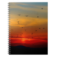 Photo Notebook (80 Pages B&W)