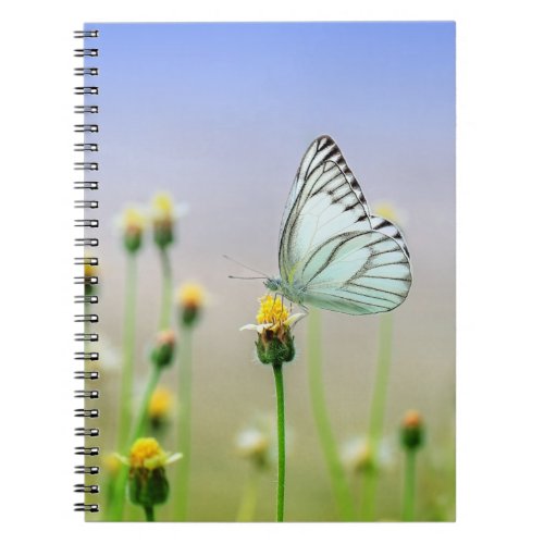 Photo Notebook 80 Pages BW