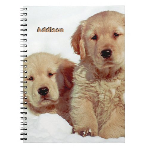 Photo Notebook With Brown Dogs