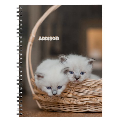 Photo Notebook With White Cat