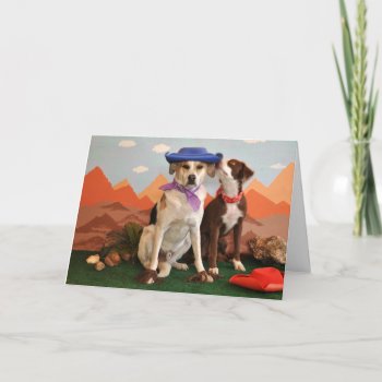 Photo Of 2 Affectionate Dogs With Cowboy Hats Card by PlaxtonDesigns at Zazzle
