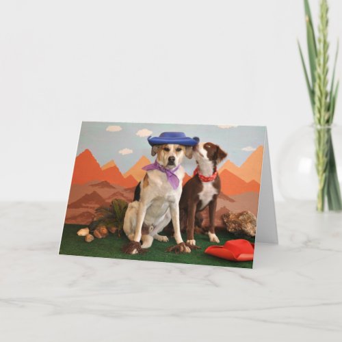 photo of 2 affectionate dogs with cowboy hats card