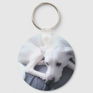 Photo of a Beautiful White Labrador Retriever Mix Keychain