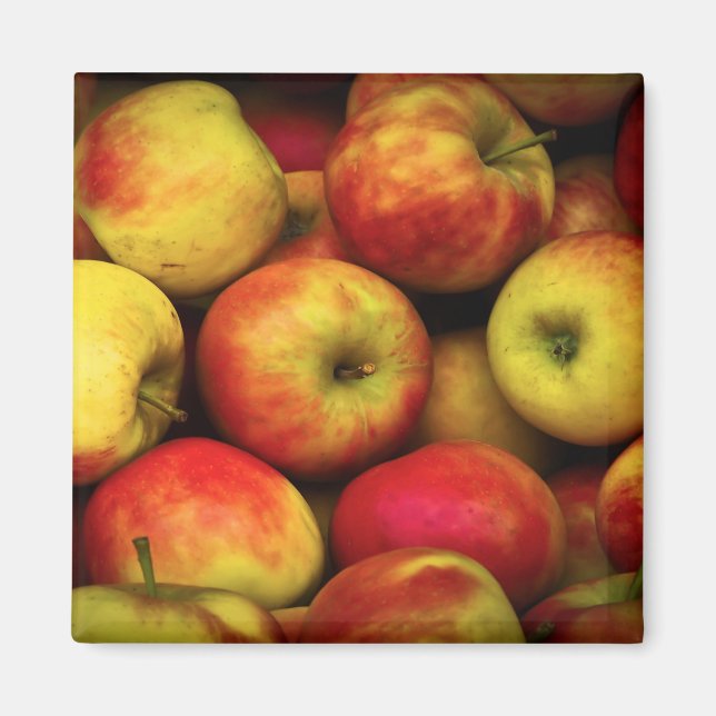 Photo of a Bushel Of Yellow and Red  Apples Magnet (Front)
