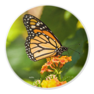 Photo of a butterfly door handle ceramic knob