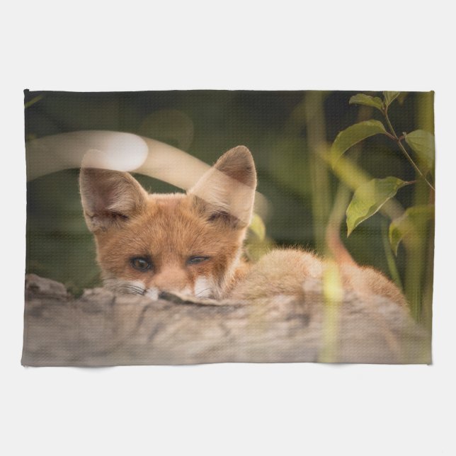 Photo of a Cute Little Fox Kitchen Towel (Horizontal)