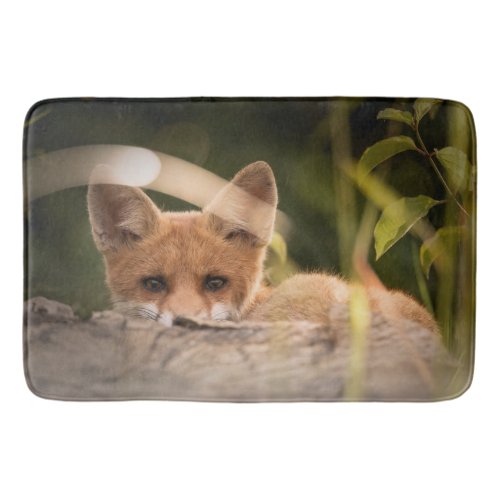 Photo of a Cute Little Orange Fox Bath Mat