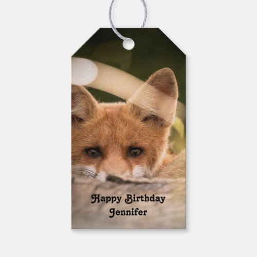 Photo of a Cute Little Orange Fox Birthday Gift Tags