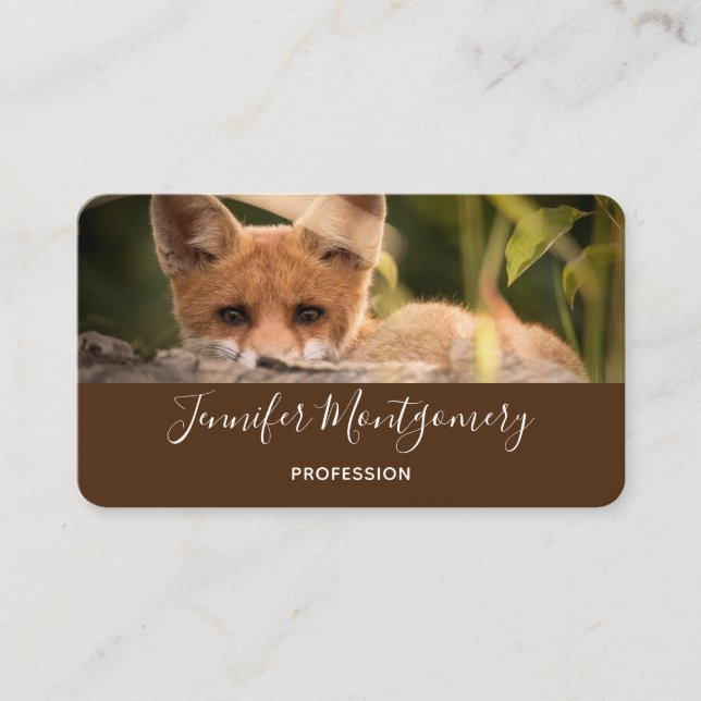 Photo of a Cute Little Orange Fox Business Card (Front)