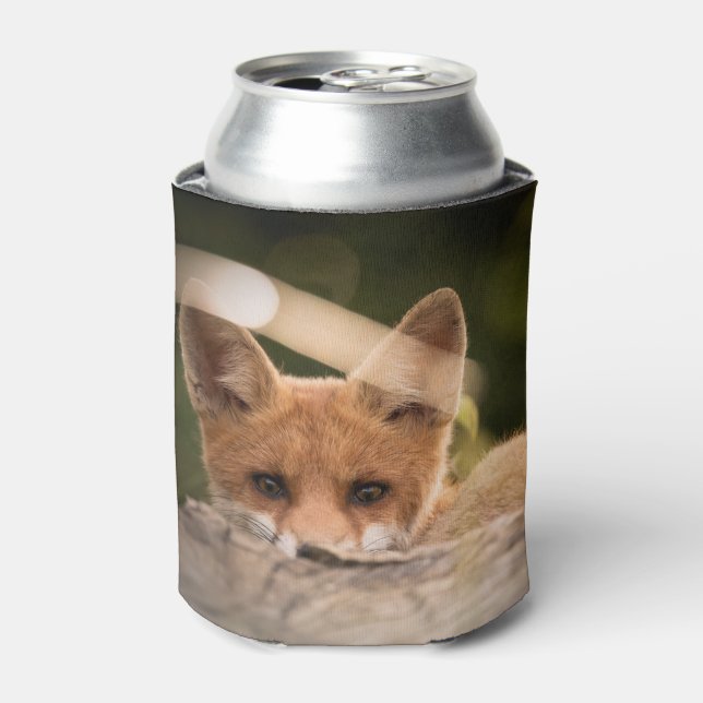  Photo of a Cute Little Orange Fox Can Cooler (Can Front)