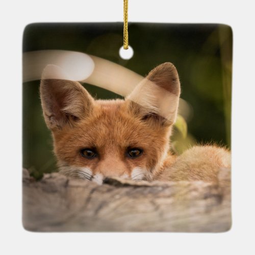 Photo of a Cute Little Orange Fox Ceramic Ornament