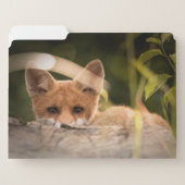Photo of a Cute Little Orange Fox File Folder (Front Left)
