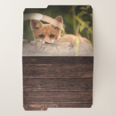 Photo of a Cute Little Orange Fox File Folder (Outside Left)