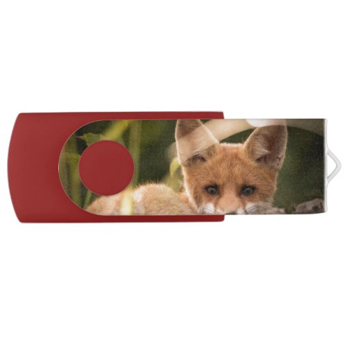 Photo of a Cute Little Orange Fox Flash Drive