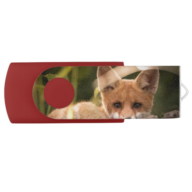 Photo of a Cute Little Orange Fox Flash Drive (Front)