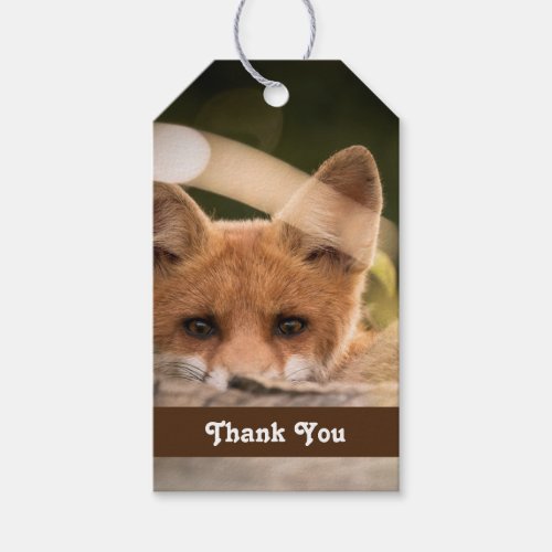 Photo of a Cute Little Orange Fox Gift Tags