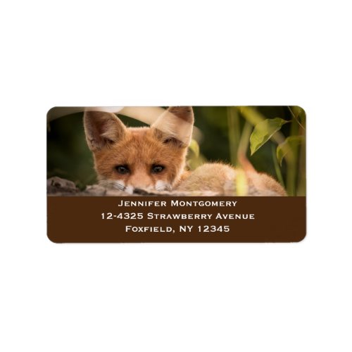Photo of a Cute Little Orange Fox Label