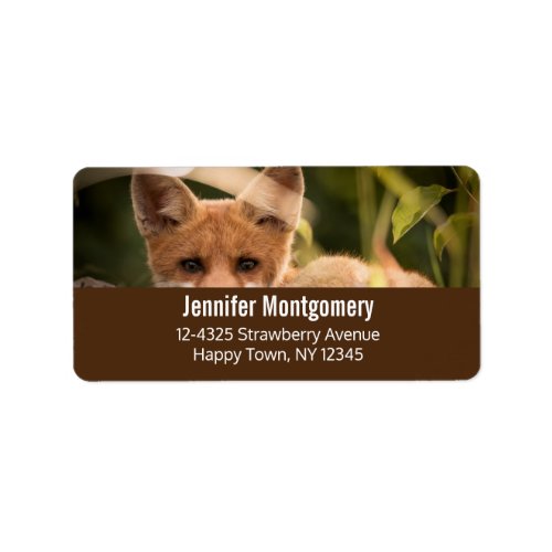 Photo of a Cute Little Orange Fox Label