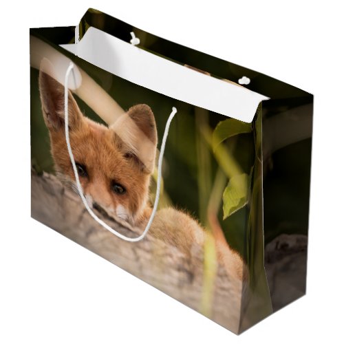 Photo of a Cute Little Orange Fox Large Gift Bag