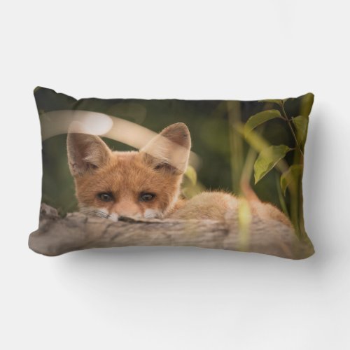  Photo of a Cute Little Orange Fox Lumbar Pillow