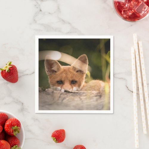Photo of a Cute Little Orange Fox Napkins