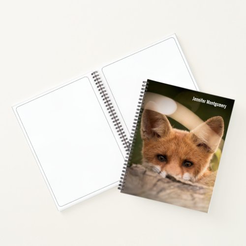 Photo of a Cute Little Orange Fox Notebook