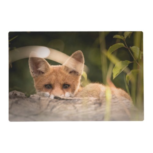 Photo of a Cute Little Orange Fox Placemat